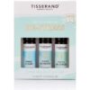 TISSERAND AROMATHERAPY The Little Box of De-Stress - Zestaw olejków eterycznych roll-on na odprężenie (3 x 10 ml)