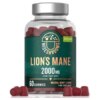 WISESHROOMS Lion's Mane Gummies - Hericum Soplówka Jeżowata (60 żelek)