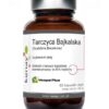 KENAY Tarczyca Bajkalska (60 kaps.)