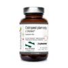 KENAY Ostropest plamisty z Siliphos (60 kaps.)