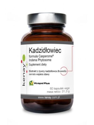 KENAY Kadzidłowiec Casperome Indena Phytosome - ekstrakt (60 kaps.)