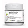 KENAY Kadzidłowiec Casperome Indena Phytosome (300 kaps.)