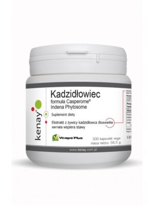 KENAY Kadzidłowiec Casperome Indena Phytosome (300 kaps.)
