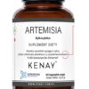 KENAY Artemisia Bylica piołun (60 kaps.)