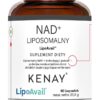 KENAY NAD+ Liposomalny LipoAvail® (60 kaps.)