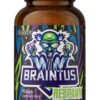 OSTROVIT Braintus Respawn (90 kaps.)