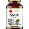 YANGO Krzem ze Skrzypu Polnego (90 kaps.)