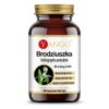 YANGO Brodziuszka - Andrographis (90 kaps.)