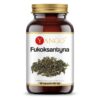 YANGO Fukoksantyna (90 kaps.)
