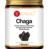 YANGO Chaga - ekstrakt 10% polisacharydów (50 g)