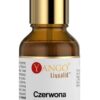YANGO Czerwona koniczyna - ekstrakt 10:1 (30 ml)