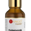 YANGO Podagrycznik pospolity - ekstrakt 10:1 (30 ml)