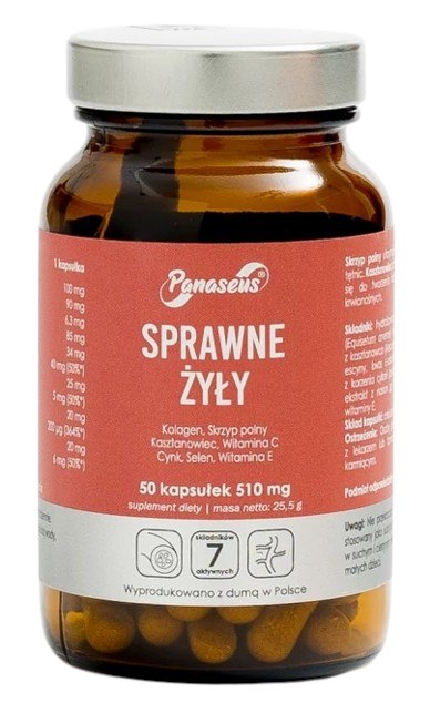 PANASEUS Sprawne Żyły (50 kaps.)
