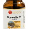 YANGO Boswellia 65 (60 kaps.)