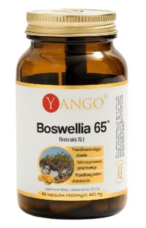 YANGO Boswellia 65 (60 kaps.)