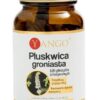 YANGO Pluskwica Groniasta (90 kaps.)