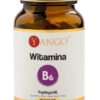 YANGO Witamina B6 (90 kaps.)