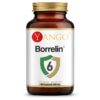 YANGO Borrelin 6 (100 kaps.)