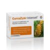 INTERCELL PHARMA CurcuZym-Intercell (100 kaps.)