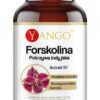 YANGO Forskolina - Pokrzywa indyjska (90 kaps.)
