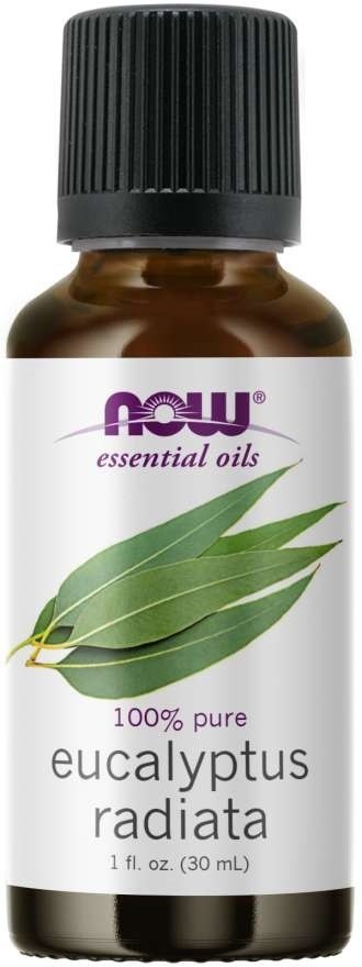 NOW FOODS 100% Olejek Eukaliptusowy - Eukaliptus Australijski - Eucalyptus radiata (30 ml)